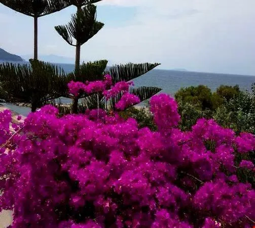 Hotel Maira Beach Bodrum