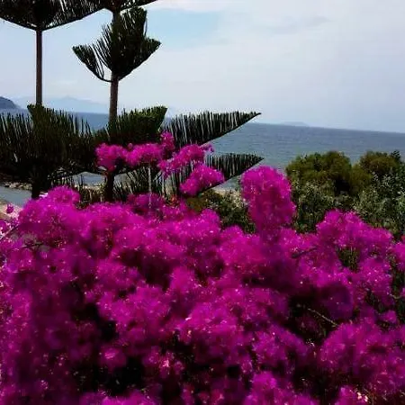 Hotel Maira Beach Bodrum